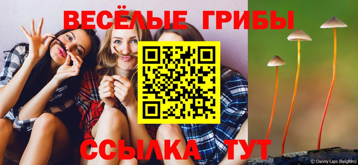 Галлюциногенные грибы Cubensis  Вход с VPN  Кинель  Псилоцибиновые грибы Psilocybe 