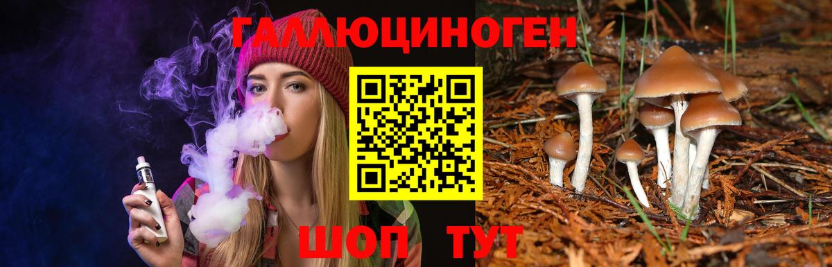 Псилоцибиновые грибы GOLDEN TEACHER Кинель